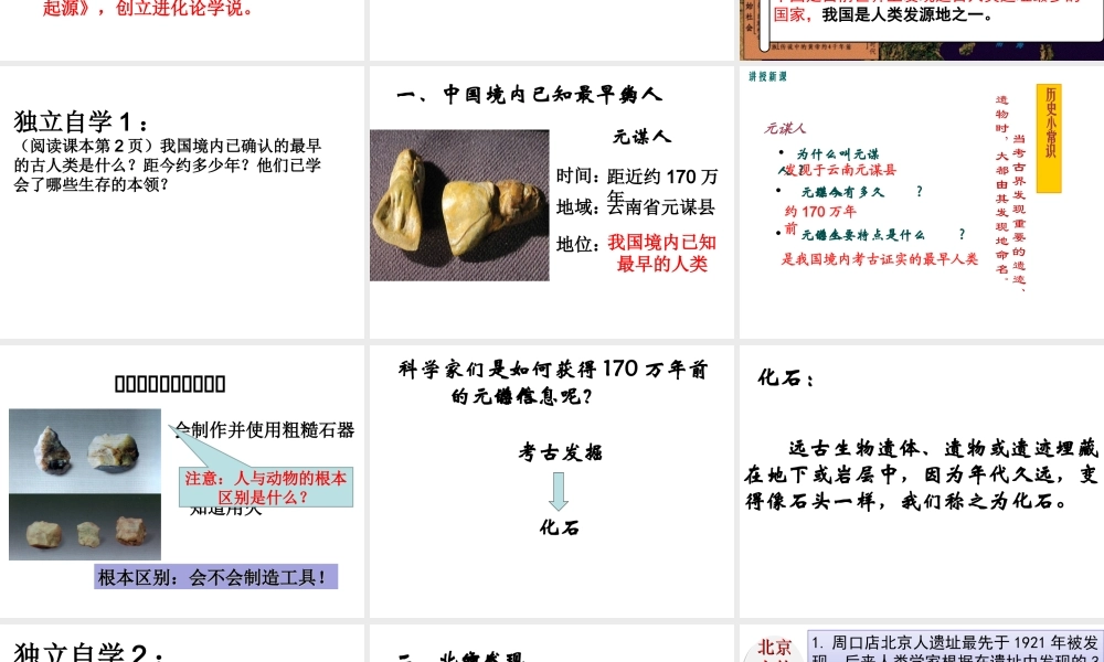 （水滴系列）（秋季版）七年级历史上册 第一单元 第1课 中国早期人类的代表———北京人教学课件 新人教版-新人教版初中七年级上册历史课件