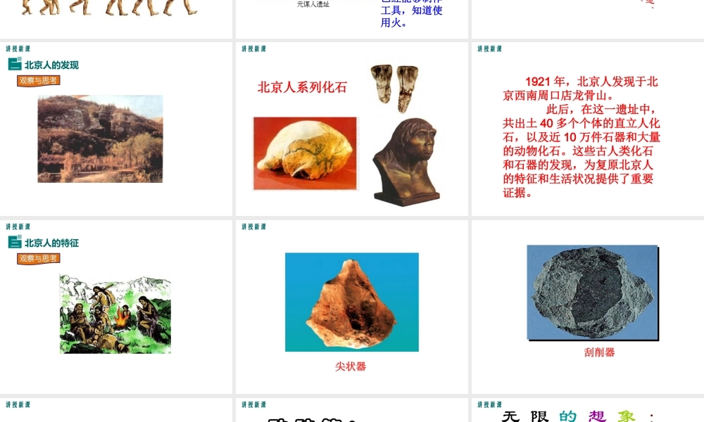 （水滴系列）（秋季版）七年级历史上册 第一单元 第1课 中国早期人类的代表——北京人课件 新人教版-新人教版初中七年级上册历史课件