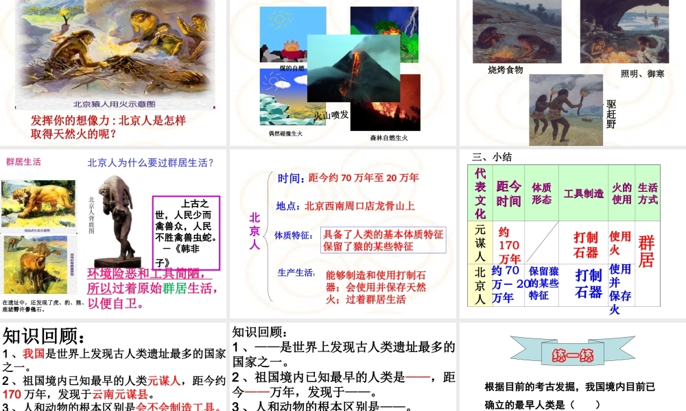 （水滴系列）（秋季版）七年级历史上册 第一单元 第1课 中国早期人类的代表—北京人课件1 新人教版-新人教版初中七年级上册历史课件