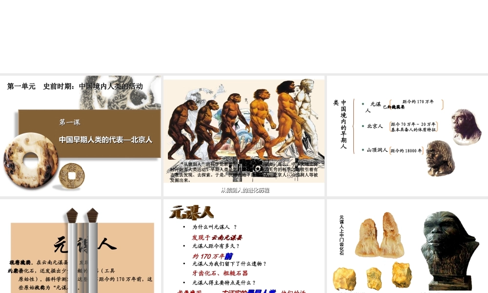 （水滴系列）（秋季版）七年级历史上册 第一单元 第1课 中国早期人类的代表—北京人课件2 新人教版-新人教版初中七年级上册历史课件