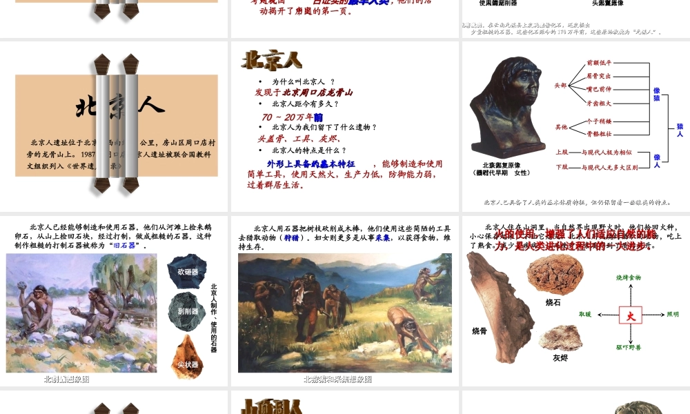 （水滴系列）（秋季版）七年级历史上册 第一单元 第1课 中国早期人类的代表—北京人课件2 新人教版-新人教版初中七年级上册历史课件