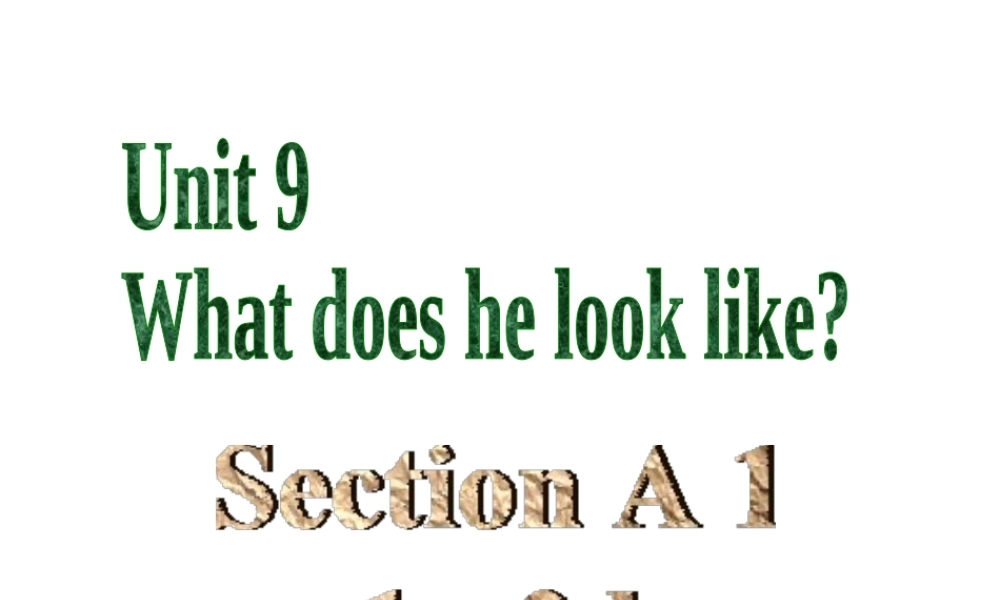 （水滴系列）七年级英语下册 Unit 9 What does he look like（第2课时）Section A（1a-2d）课件 （新版）人教新目标版-（新版）人教新目标版初中七年级下册英语课件