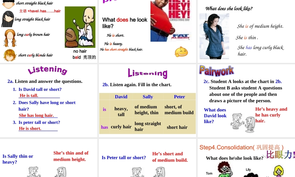 （水滴系列）七年级英语下册 Unit 9 What does he look like（第2课时）Section A（1a-2d）课件 （新版）人教新目标版-（新版）人教新目标版初中七年级下册英语课件