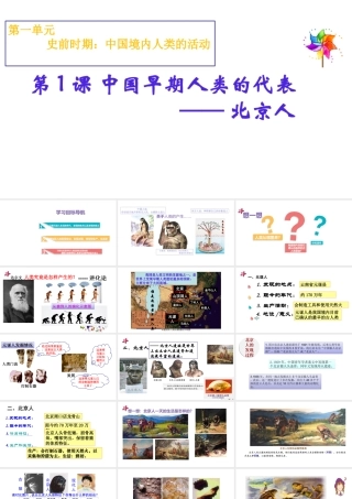 （水滴系列）（秋季版）七年级历史上册 第一单元 第1课 中国早期人类的代表—北京人课件3 新人教版-新人教版初中七年级上册历史课件