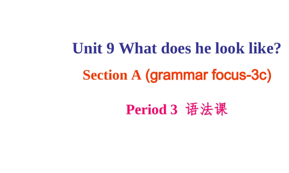 （水滴系列）七年级英语下册 Unit 9 What does he look like（第3课时）Section A（Grammar Foucs-3c）课件 （新版）人教新目标版-（新版）人教新目标版初中七年级下册英语课件