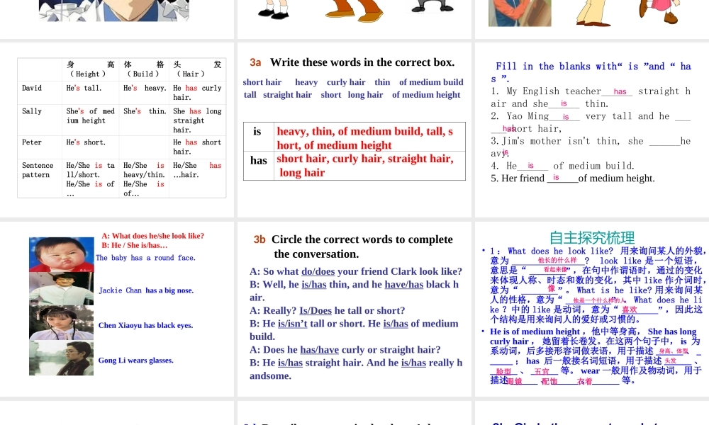 （水滴系列）七年级英语下册 Unit 9 What does he look like（第3课时）Section A（Grammar Foucs-3c）课件 （新版）人教新目标版-（新版）人教新目标版初中七年级下册英语课件