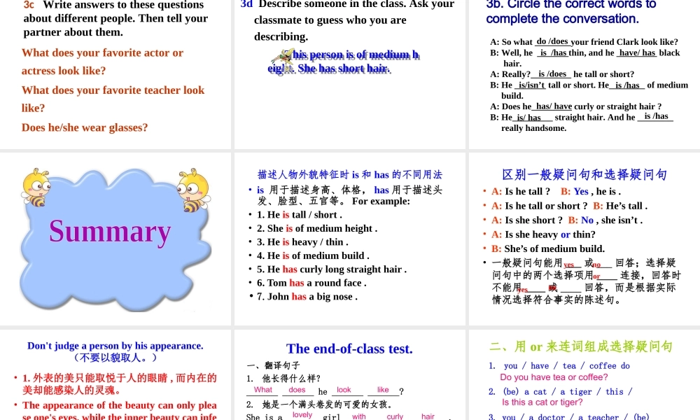 （水滴系列）七年级英语下册 Unit 9 What does he look like（第3课时）Section A（Grammar Foucs-3c）课件 （新版）人教新目标版-（新版）人教新目标版初中七年级下册英语课件