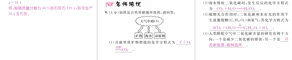 （毕节专用）秋九年级化学上册 6.3 第1课时 二氧化碳作业课件 （新版）新人教版-（新版）新人教版初中九年级上册化学课件
