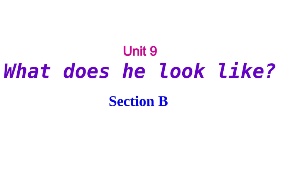 （水滴系列）七年级英语下册 Unit 9 What does he look like（第4课时）Section B（1a-1e）课件 （新版）人教新目标版-（新版）人教新目标版初中七年级下册英语课件