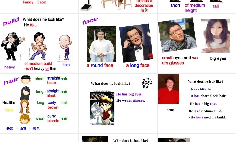 （水滴系列）七年级英语下册 Unit 9 What does he look like（第4课时）Section B（1a-1e）课件 （新版）人教新目标版-（新版）人教新目标版初中七年级下册英语课件