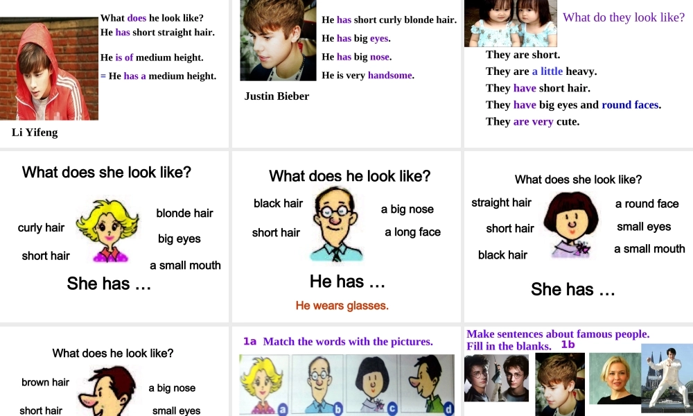 （水滴系列）七年级英语下册 Unit 9 What does he look like（第4课时）Section B（1a-1e）课件 （新版）人教新目标版-（新版）人教新目标版初中七年级下册英语课件