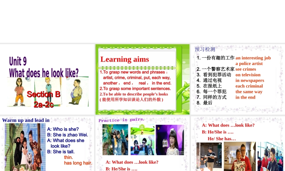 （水滴系列）七年级英语下册 Unit 9 What does he look like（第5课时）Section B（2a-2c）课件 （新版）人教新目标版-（新版）人教新目标版初中七年级下册英语课件