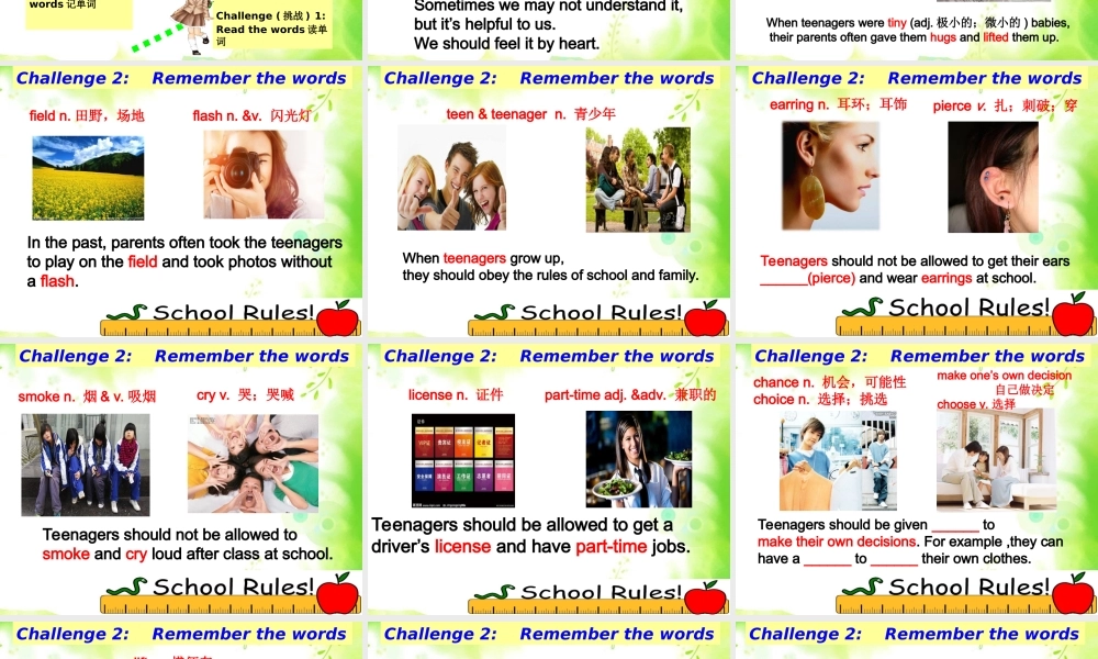 （水滴系列）九年级英语全册 Unit 7 Teenagers should be allowed to choose their own clothes生词和短语课件 （新版）人教新目标版-（新版）人教新目标版初中九年级全册英语课件