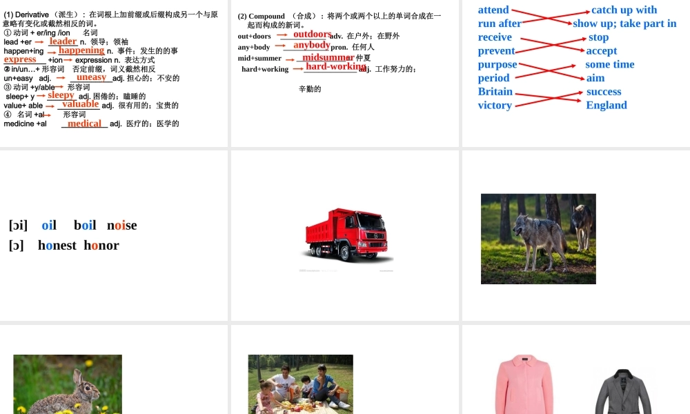 （水滴系列）九年级英语全册 Unit 8 It must belong to Carla（第1课时）New words and phrases课件 （新版）人教新目标版-（新版）人教新目标版初中九年级全册英语课件