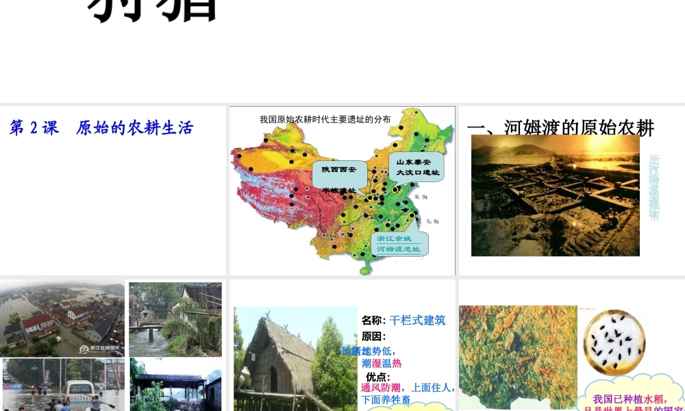 （水滴系列）（秋季版）七年级历史上册 第一单元 第2课 原始的农耕生活课件 新人教版-新人教版初中七年级上册历史课件