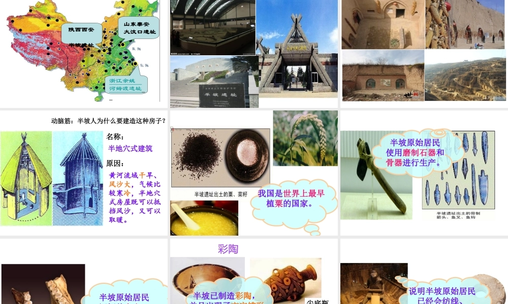 （水滴系列）（秋季版）七年级历史上册 第一单元 第2课 原始的农耕生活课件 新人教版-新人教版初中七年级上册历史课件