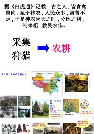 （水滴系列）（秋季版）七年级历史上册 第一单元 第2课 原始的农耕生活课件 新人教版-新人教版初中七年级上册历史课件