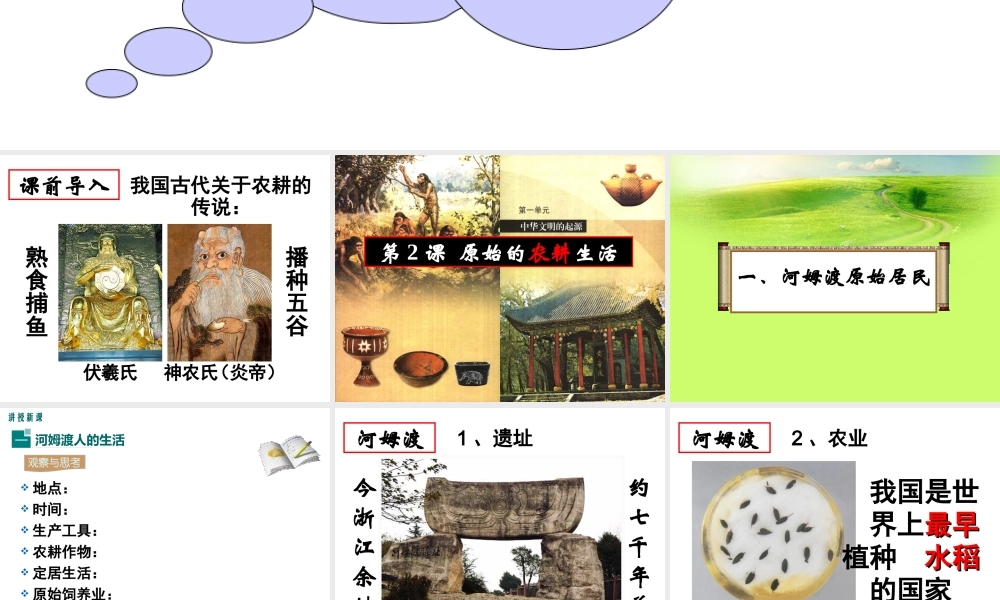 （水滴系列）（秋季版）七年级历史上册 第一单元 第2课 原始农耕生活课件1 新人教版-新人教版初中七年级上册历史课件