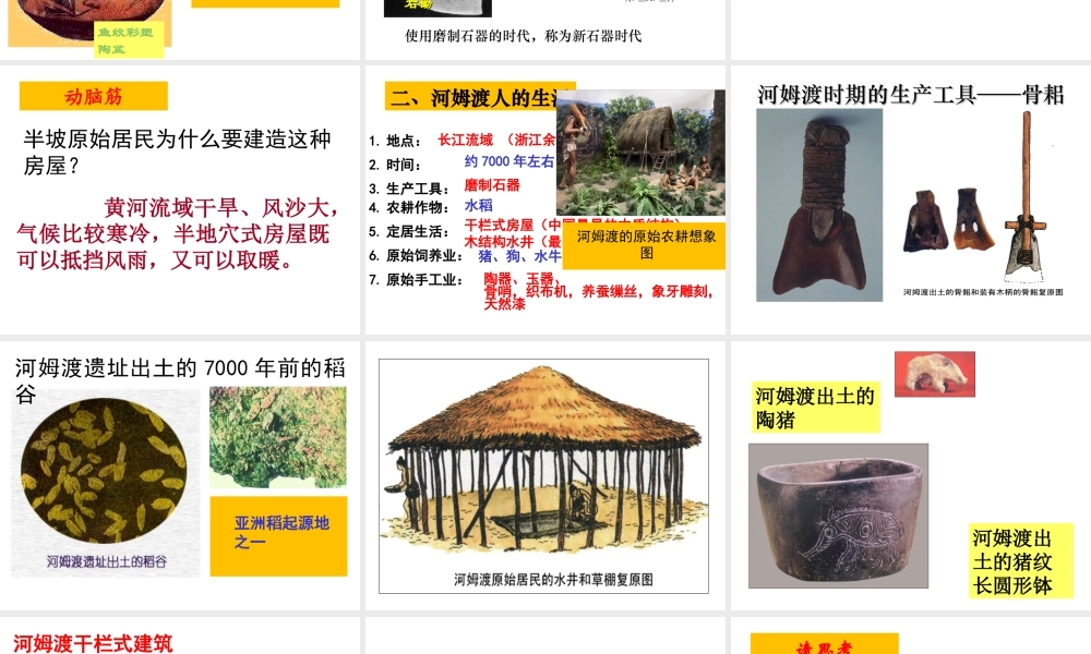 （水滴系列）（秋季版）七年级历史上册 第一单元 第2课 原始农耕生活课件2 新人教版-新人教版初中七年级上册历史课件