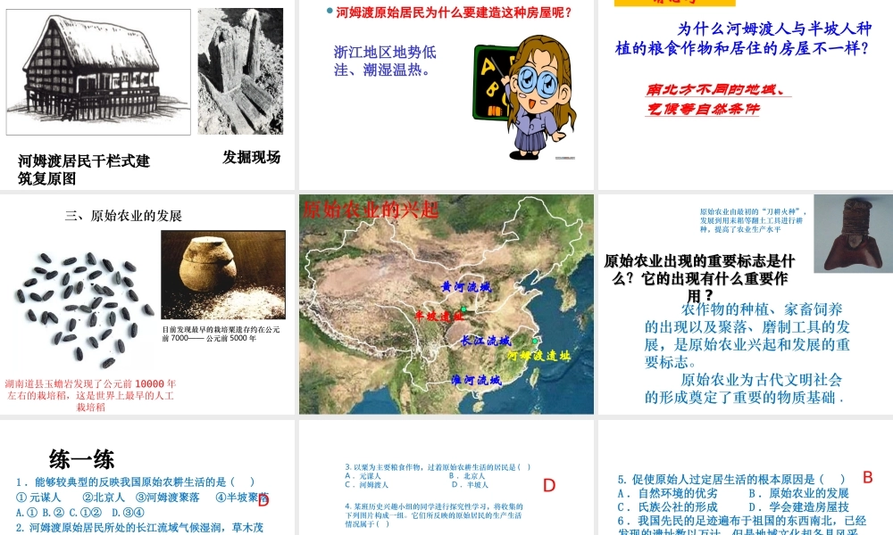 （水滴系列）（秋季版）七年级历史上册 第一单元 第2课 原始农耕生活课件2 新人教版-新人教版初中七年级上册历史课件