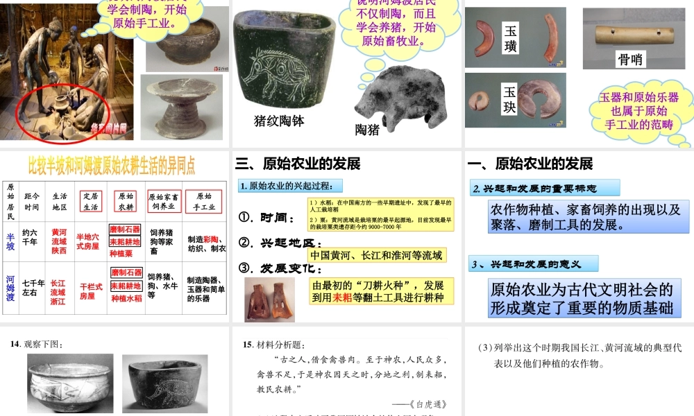 （水滴系列）（秋季版）七年级历史上册 第一单元 第2课《原始农耕生活》课件 新人教版-新人教版初中七年级上册历史课件