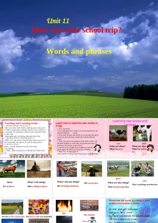 （水滴系列）七年级英语下册 Unit 11 How was your school trip（第1课时）New words and phrases课件 （新版）人教新目标版-（新版）人教新目标版初中七年级下册英语课件