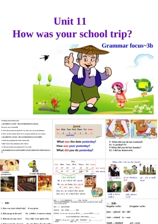 （水滴系列）七年级英语下册 Unit 11 How was your school trip（第3课时）Section A（Grammar Focus 3a-3b）课件 （新版）人教新目标版-（新版）人教新目标版初中七年级下册英语课件