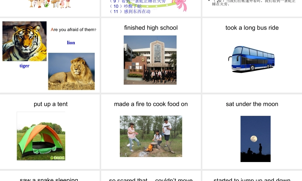 （水滴系列）七年级英语下册 Unit 12 What did you do last weekend（第5课时）Section B（2a-2c）课件 （新版）人教新目标版-（新版）人教新目标版初中七年级下册英语课件