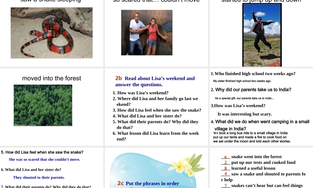 （水滴系列）七年级英语下册 Unit 12 What did you do last weekend（第5课时）Section B（2a-2c）课件 （新版）人教新目标版-（新版）人教新目标版初中七年级下册英语课件