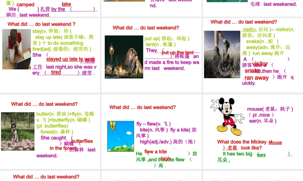 （水滴系列）七年级英语下册 Unit 12 What did you do last weekend生词课课件 （新版）人教新目标版-（新版）人教新目标版初中七年级下册英语课件