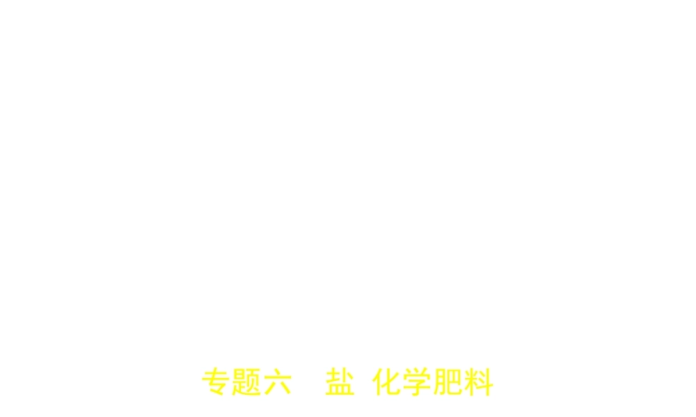 （江苏专版）中考化学复习 专题六 盐 化学肥料（试卷部分）课件-人教版初中九年级全册化学课件