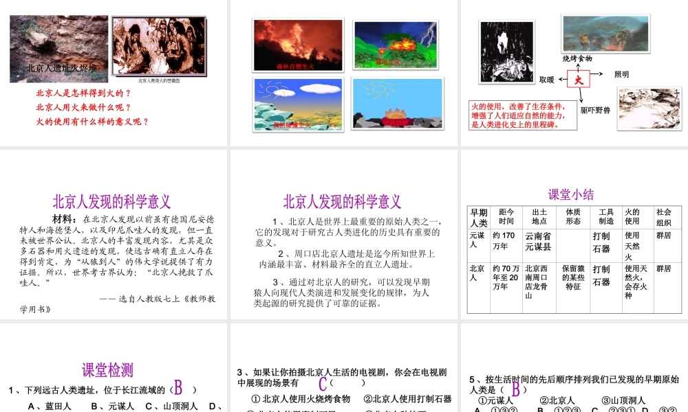 （水滴系列）（秋级历史上册 第1课 中国早期人类的代表-北京人课件 新人教版