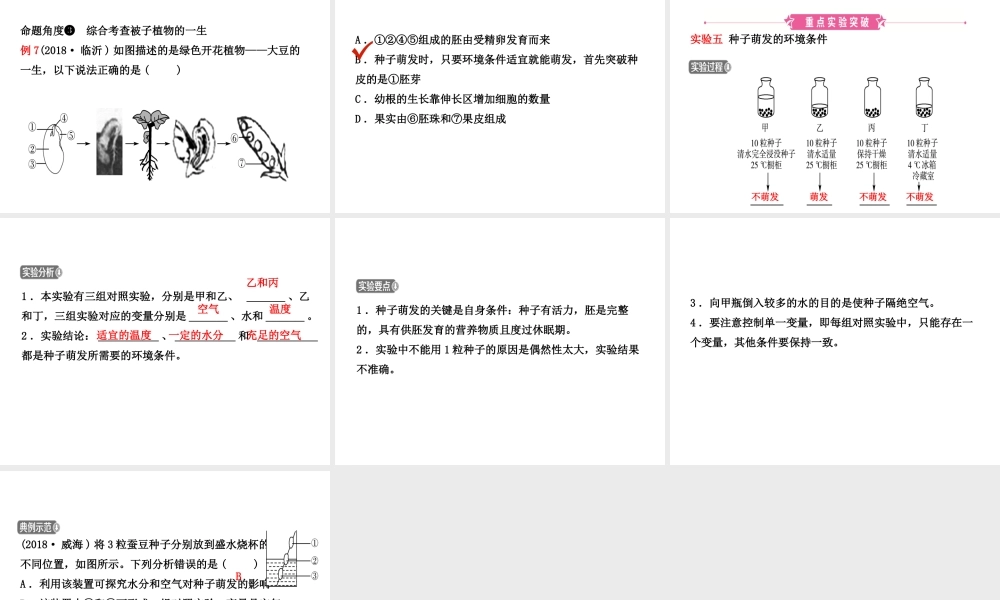 （江西专版）中考生物 第1部分 第三单元 第二章复习课件-人教版初中九年级全册生物课件