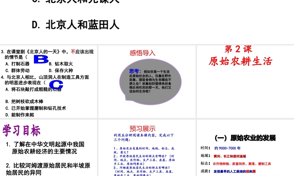 （水滴系列）（秋级历史上册 第2课 原始农耕生活课件1 新人教版-新人教级上册历史课件