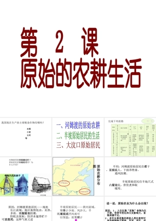 （水滴系列）（秋级历史上册 第2课 原始农耕生活课件2 新人教版-新人教级上册历史课件