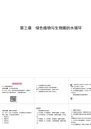 （江西专版）中考生物 第1部分 第三单元 第三章 绿色植物与生物圈的水循环复习课件-人教级全册生物课件