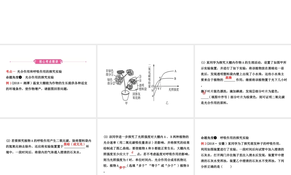 （江西专版）中考生物 第1部分 第三单元 第四章 第五章 第六章复习课件-人教版初中九年级全册生物课件