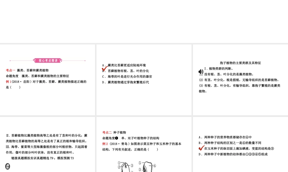 （江西专版）中考生物 第1部分 第三单元 第一章 生物圈中有哪些绿色植物复习课件-人教版初中九年级全册生物课件