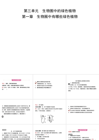 （江西专版）中考生物 第1部分 第三单元 第一章 生物圈中有哪些绿色植物复习课件-人教版初中九年级全册生物课件
