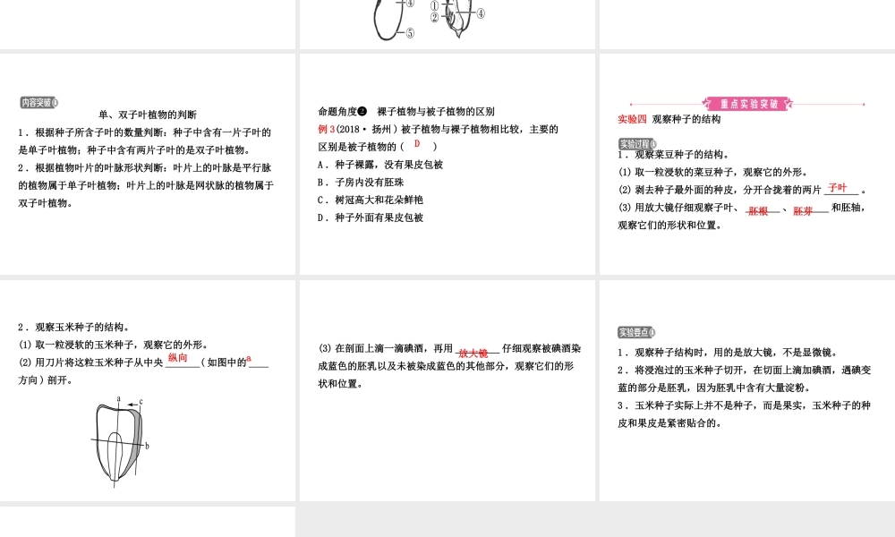 （江西专版）中考生物 第1部分 第三单元 第一章 生物圈中有哪些绿色植物复习课件-人教级全册生物课件