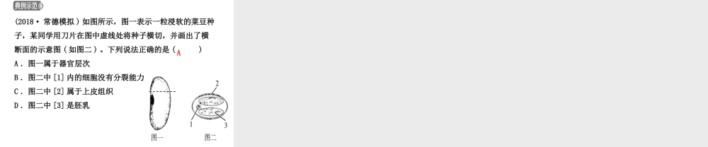 （江西专版）中考生物 第1部分 第三单元 第一章 生物圈中有哪些绿色植物复习课件-人教级全册生物课件