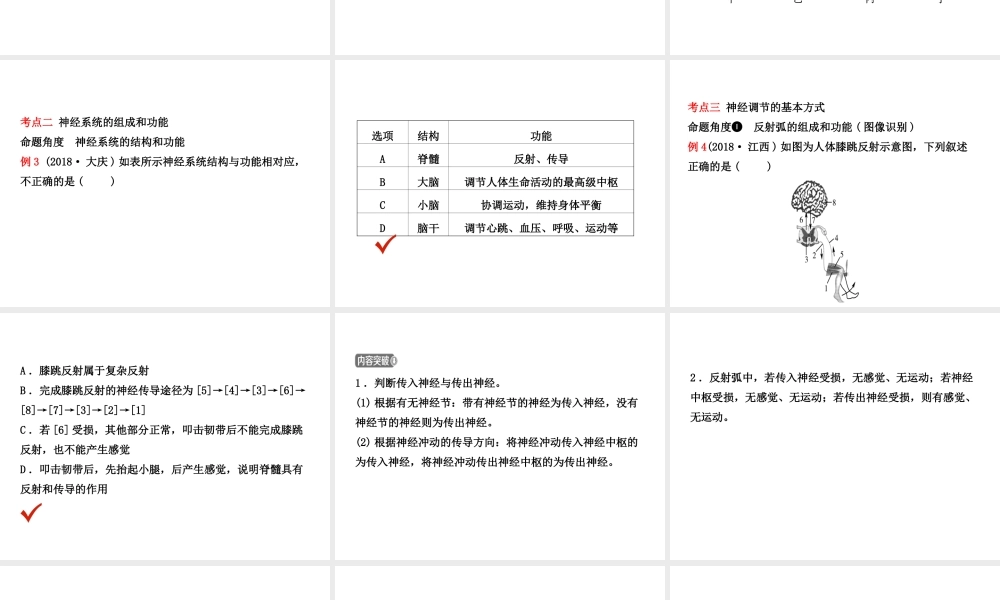 （江西专版）中考生物 第1部分 第四单元 第六章 人体生命活动的调节复习课件-人教版初中九年级全册生物课件