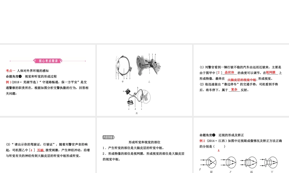 （江西专版）中考生物 第1部分 第四单元 第六章 人体生命活动的调节复习课件-人教级全册生物课件