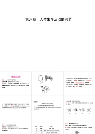 （江西专版）中考生物 第1部分 第四单元 第六章 人体生命活动的调节复习课件-人教级全册生物课件
