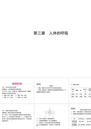 （江西专版）中考生物 第1部分 第四单元 第三章 人体的呼吸复习课件-人教版初中九年级全册生物课件