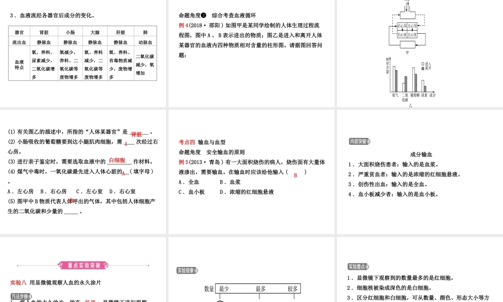 （江西专版）中考生物 第1部分 第四单元 第四章 人体内物质的运输复习课件-人教版初中九年级全册生物课件