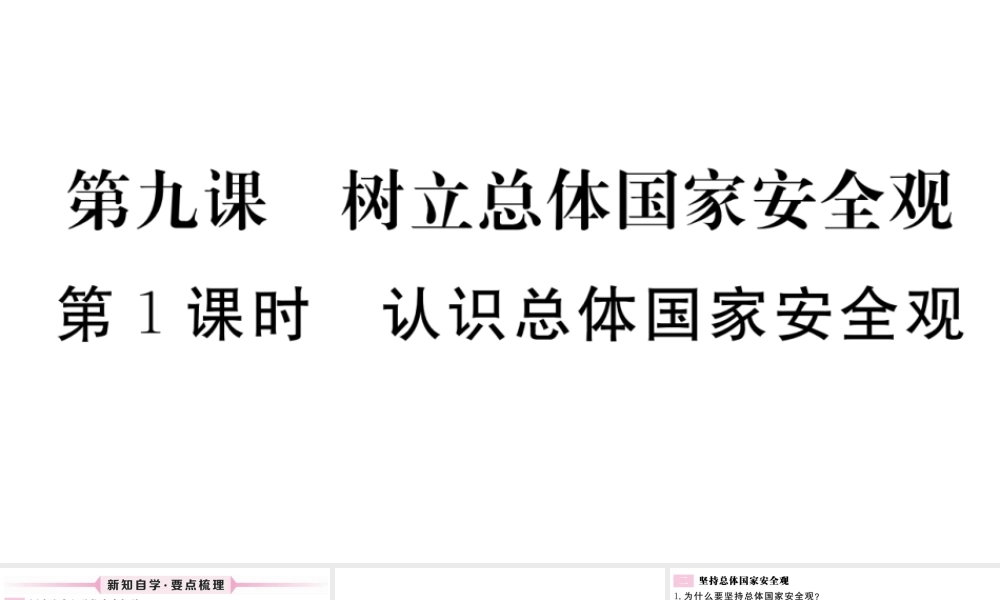 （江西专版）八年级道德与法治上册 第四单元 维护国家利益 第九课 树立总体国家安全观 第1框 认识总体国家安全观习题课件 新人教版-新人教版初中八年级上册政治课件
