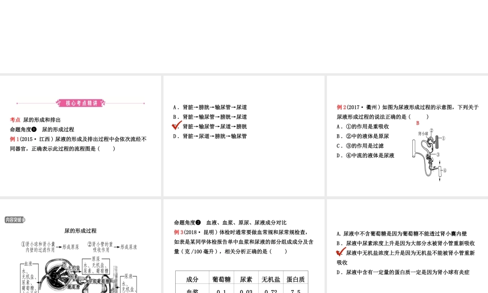 （江西专版）中考生物 第1部分 第四单元 第五章 人体内废物的排出复习课件-人教版初中九年级全册生物课件