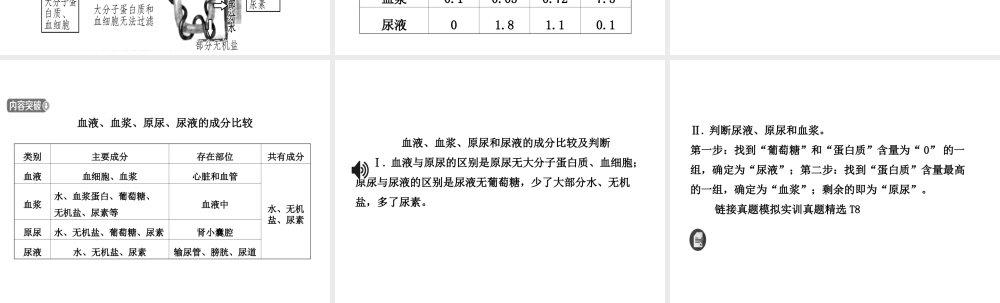 （江西专版）中考生物 第1部分 第四单元 第五章 人体内废物的排出复习课件-人教版初中九年级全册生物课件