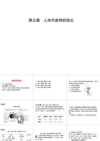 （江西专版）中考生物 第1部分 第四单元 第五章 人体内废物的排出复习课件-人教版初中九年级全册生物课件
